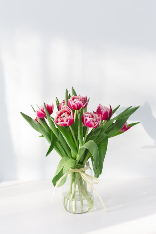 Pink tulips arranged in a clear glass vase with ribbon