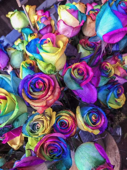 Vivid multicolor rainbow roses arrangement